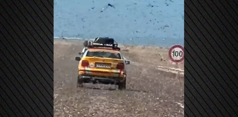 Επέλαση από σμήνη ακρίδων στη Σαχάρα ΒΙΝΤΕΟ