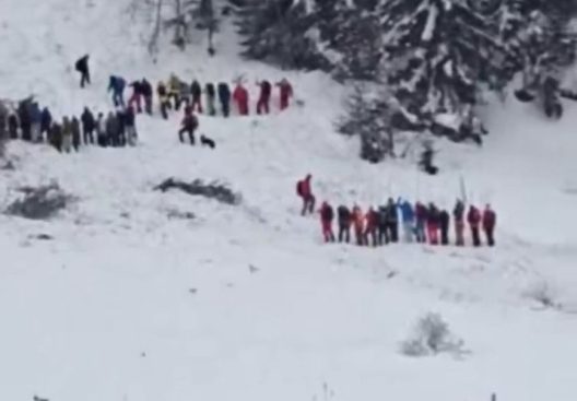 Αυστρία: Νεκροί και τραυματίες από χιονοστιβάδες ΒΙΝΤΕΟ 26 Αυστρία: Νεκροί και τραυματίες από χιονοστιβάδες ΒΙΝΤΕΟ