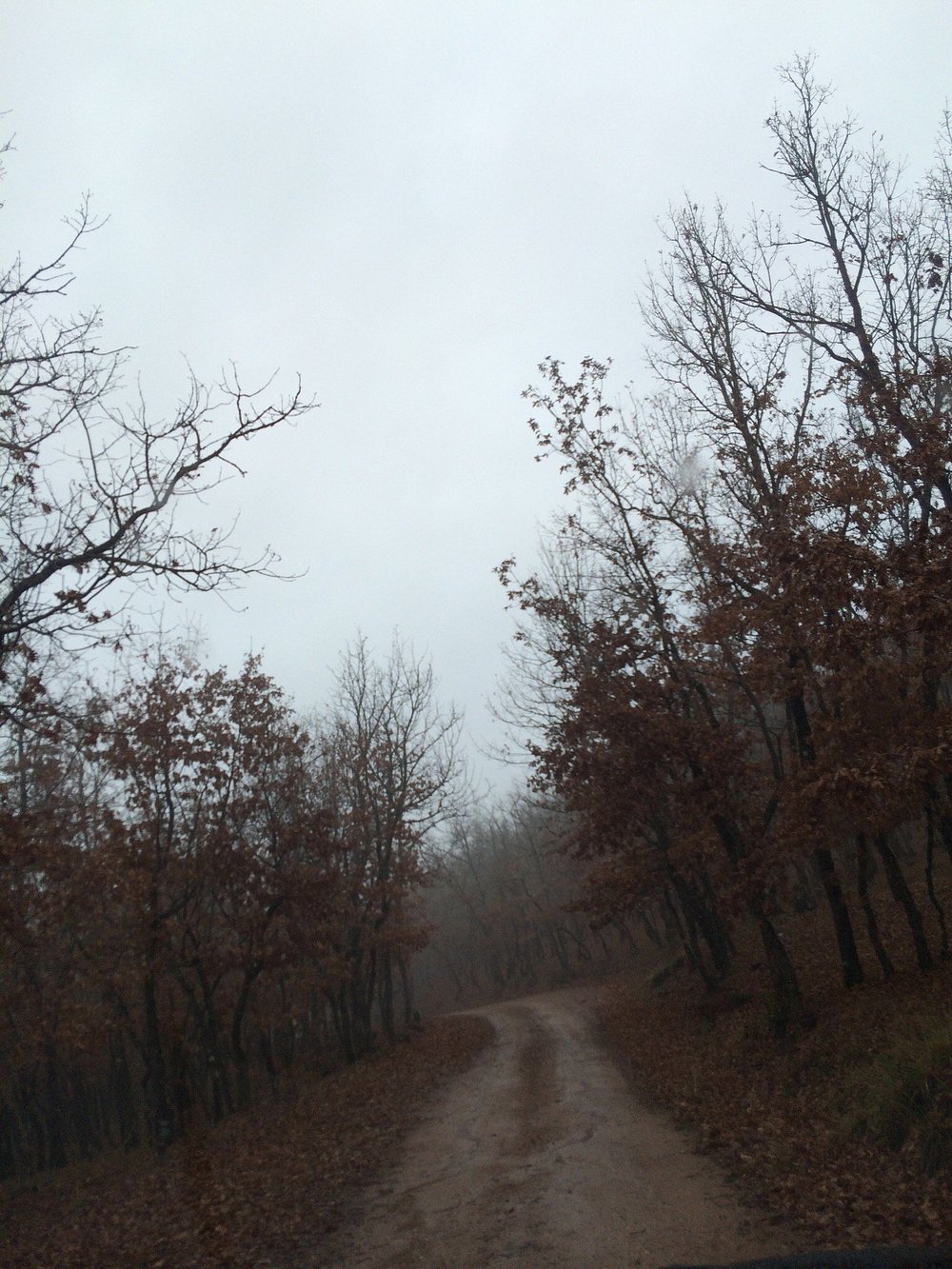 Αχαΐα: Κίνδυνος σε δρόμο έκλεισε την Ιερά Μονή Μακελλαριάς ΦΩΤΟ