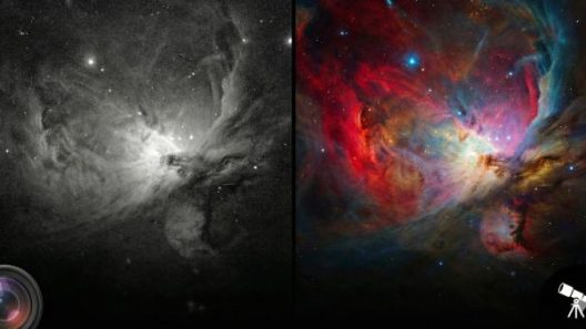 Ο Δρ Θέμος Κάλλος ομιλητής του Ωρίωνα, στην Πάτρα ΦΩΤΟ