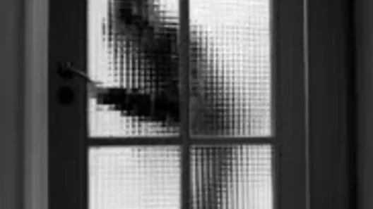 Αίγιο: Εξιχνιάστηκαν 20 κλοπές σε οικίες και οχήματα από Εγκληματική Ομάδα, με όφελος χιλιάδων ευρώ