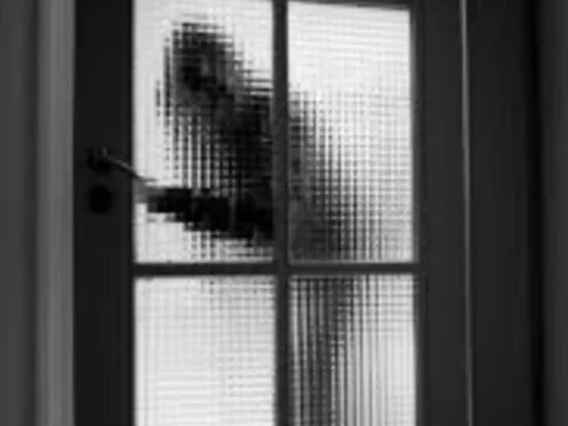 Αίγιο: Εξιχνιάστηκαν 20 κλοπές σε οικίες και οχήματα από Εγκληματική Ομάδα, με όφελος χιλιάδων ευρώ 24 Αίγιο: Εξιχνιάστηκαν 20 κλοπές σε οικίες και οχήματα από Εγκληματική Ομάδα, με όφελος χιλιάδων ευρώ