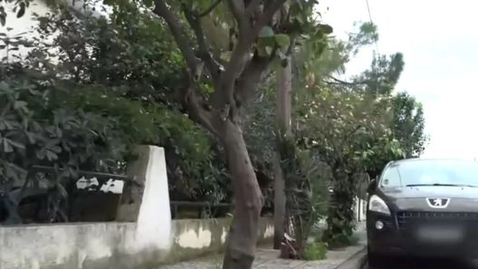 Ελευσίνα: Τραγωδία με ηλικιωμένη που βρήκε φρικτό θάνατο, τι συνέβη