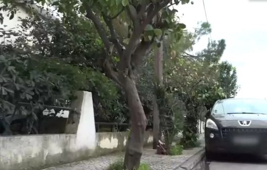 Ελευσίνα: Τραγωδία με ηλικιωμένη που βρήκε φρικτό θάνατο, τι συνέβη