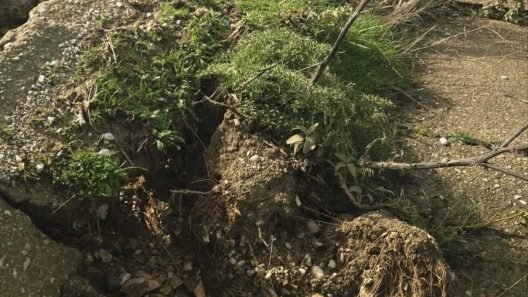 Ερύμανθος: Τεράστιες ζημιές σε οδικό δίκτυο και καλλιέργειες από την βροχή ΦΩΤΟ