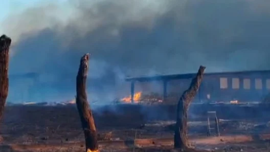 Αχαΐα: Σοβαρές ενδείξεις για αναπνευστικά προβλήματα λόγω των πυρκαγιών του Αυγούστου - Τί λένε οι ειδικοί στο Patrapress.gr