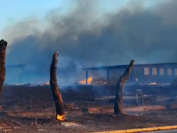 Αχαΐα: Σοβαρές ενδείξεις για αναπνευστικά προβλήματα λόγω των πυρκαγιών του Αυγούστου – Τί λένε οι ειδικοί στο Patrapress.gr