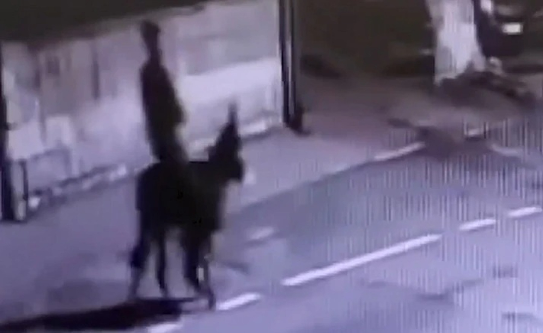 Γαϊδούρι μέσο διαφυγής για ληστή κοσμηματοπωλείου! ΒΙΝΤΕΟ