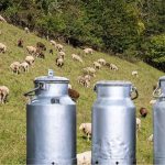 Αχαΐα: Ανω των 200 εκατ.€  η ζημιά από την ευλογιά των αιγοπροβάτων