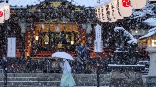 Φονικός χιονιάς στην Ιαπωνία με 46 νεκρούς, εκατοντάδες τραυματίες ΒΙΝΤΕΟ