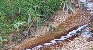 Πάτρα: Αγανακτισμένοι πάλι οι κάτοικοι με την βρωμιά του ΧΥΤΑ Ξερόλακκας ΦΩΤΟ