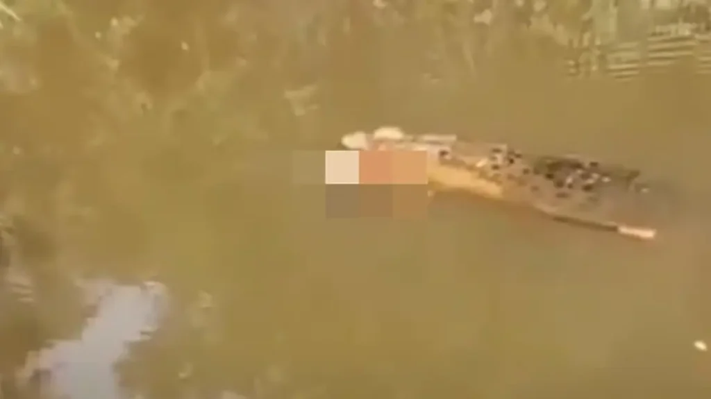 Ινδονησία: Φρικτός θάνατος γυναίκας που την κατασπάραξε κροκόδειλος ΒΙΝΤΕΟ