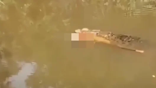 Ινδονησία: Φρικτός θάνατος γυναίκας που την κατασπάραξε κροκόδειλος ΒΙΝΤΕΟ