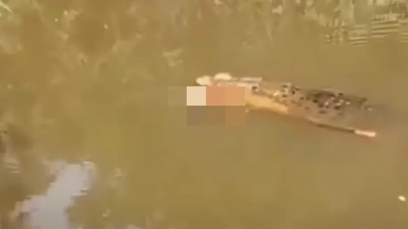 Ινδονησία: Φρικτός θάνατος γυναίκας που την κατασπάραξε κροκόδειλος ΒΙΝΤΕΟ