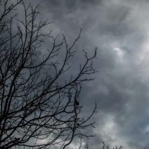 Καιρός: «Βουτιά» της θερμοκρασίας και χιόνια στα ορεινά ΧΑΡΤΕΣ