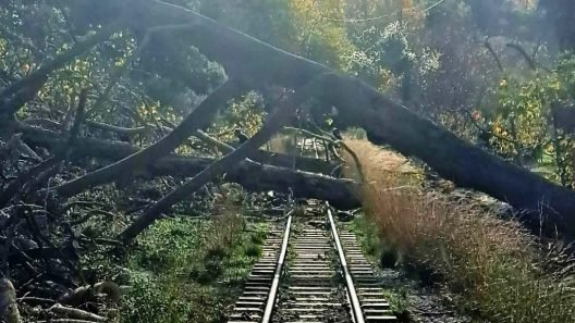 Αχαΐα: Ακυρώνονται τα δρομολόγια του Οδοντωτού λόγω πτώσης δέντρων ΦΩΤΟ