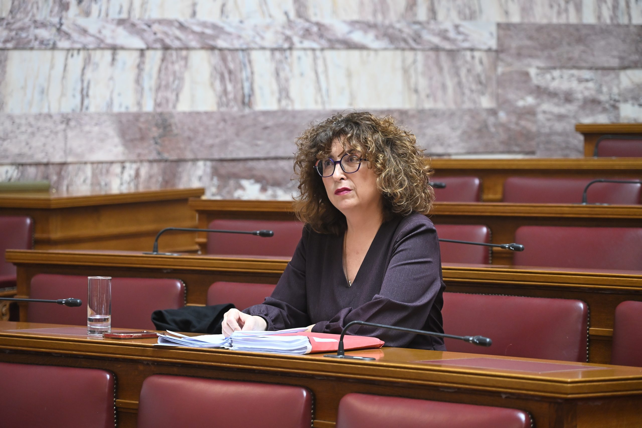 Ανεξαρτητοποιήθηκε η Έλενα Καραγεωργοπούλου από την Πλεύση Ελευθερίας