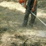 Καθαρισμός οικοπέδων: Η προθεσμία και οι ποινές - Τι αλλάζει φέτος