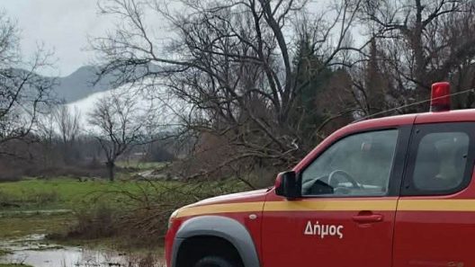 Κλειτορία: Σε αυξημένη ετοιμότητα η Πολιτική Προστασία μετά την πτώση κορμών ΦΩΤΟ