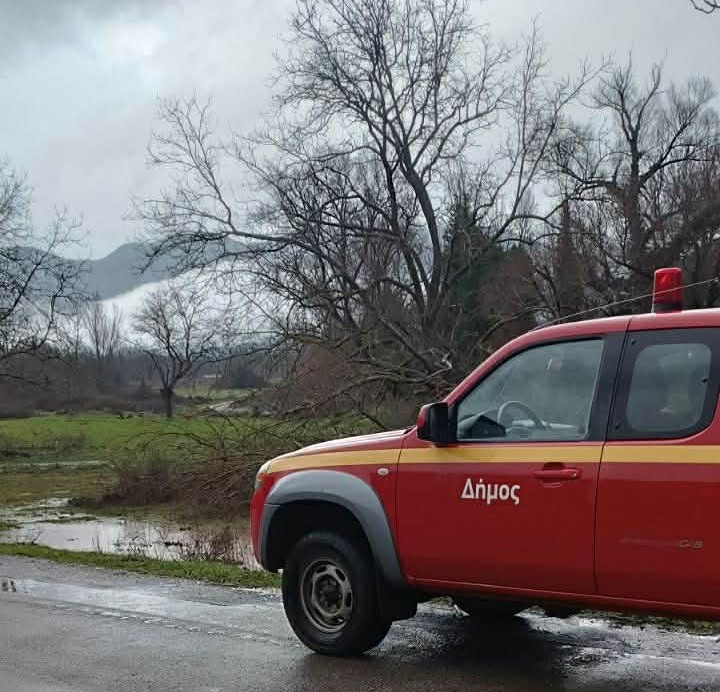 Κλειτορία: Σε αυξημένη ετοιμότητα η Πολιτική Προστασία μετά την πτώση κορμών ΦΩΤΟ