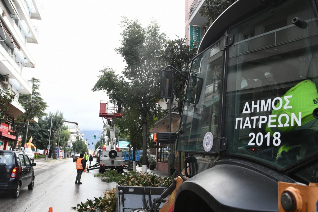 Πάτρα: Κλάδεμα Δήμου με συνδρομή Πυροσβεστικής, τα σημεία ΦΩΤΟ 30 Πάτρα: Κλάδεμα Δήμου με συνδρομή Πυροσβεστικής, τα σημεία ΦΩΤΟ