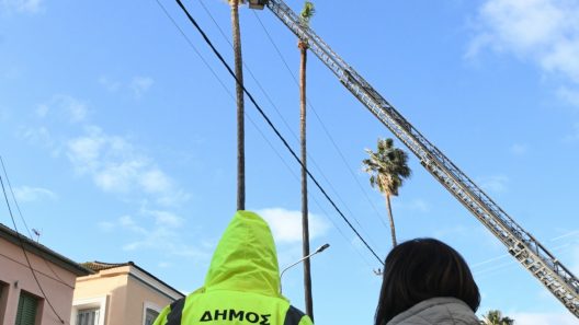 Πάτρα: Κλάδεμα Δήμου με συνδρομή Πυροσβεστικής, τα σημεία ΦΩΤΟ