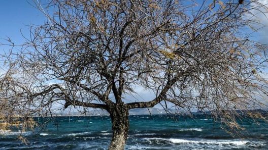 Αχαΐα: Ανοιξιάτικο «διάλειμμα» μέσα στον Χειμώνα, ο καιρός το Σαββατοκύριακο