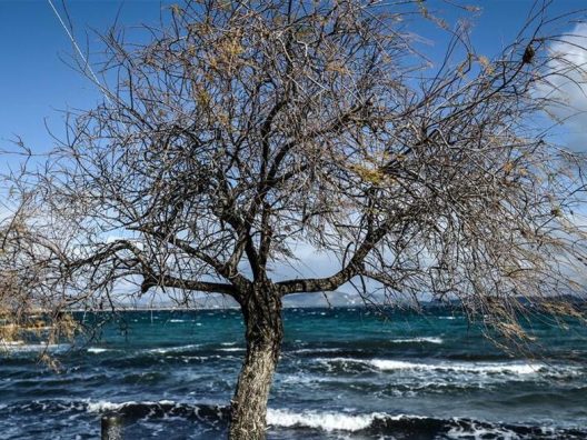 Αχαΐα: Ανοιξιάτικο «διάλειμμα» μέσα στον Χειμώνα, ο καιρός το Σαββατοκύριακο