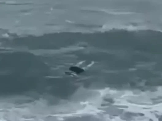 Ιταλία: Πτώματα ξεβράστηκαν στις ακτές ΒΙΝΤΕΟ