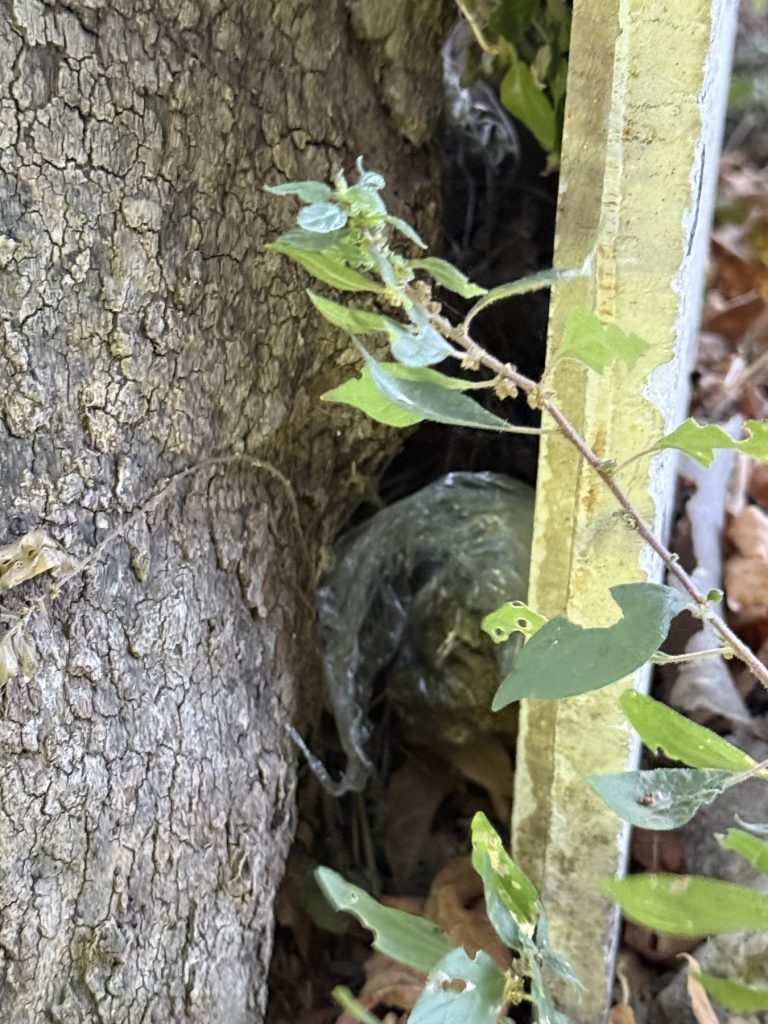 Ναύπακτος: Σοκ σε σχολική εκδρομή, μαθητής πουλούσε ναρκωτικά, 3 συλλήψεις ΦΩΤΟ