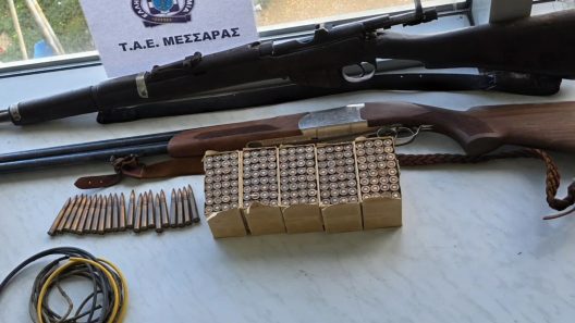 Τα όπλα που βρέθηκαν κρυμμένα σε στάνη «φάντασμα» στα Βορίζια