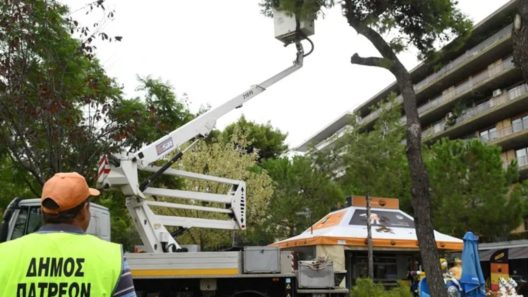 Πάτρα: Εργασίες κλαδέματος, σε ποιες περιοχές