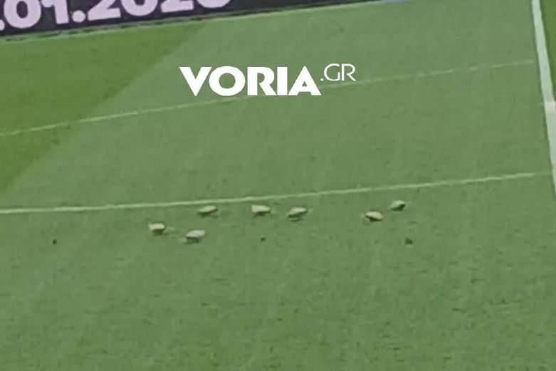 Αναυδοι στη Τούμπα: Επτά περιστέρια προσγειώθηκαν στο γήπεδο του ΠΑΟΚ ΦΩΤΟ 25 Αναυδοι στη Τούμπα: Επτά περιστέρια προσγειώθηκαν στο γήπεδο του ΠΑΟΚ ΦΩΤΟ