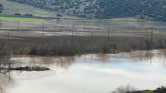 Λάρισα: Υπερχείλισε ο Πηνειός, πλημμύρισαν αγροτικές εκτάσεις ΒΙΝΤΕΟ ΦΩΤΟ