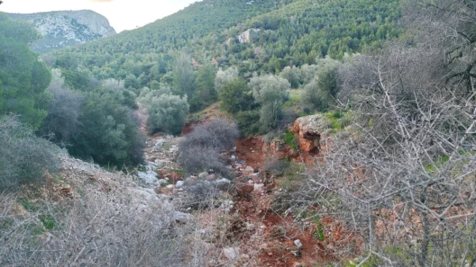 Νέα Πέραμος: Μυστήριο με δολοφονία του 27χρονου που βρέθηκε σε ρέμα