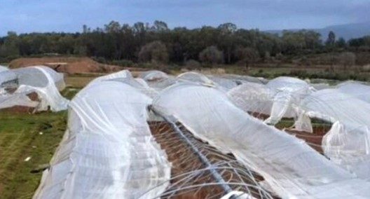 Ηλεία-Μπόρσι: Ισχυρός ανεμοστρόβιλος ισοπέδωσε θερμοκήπιο ΒΙΝΤΕΟ - ΦΩΤΟ