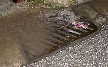 Αγυιά Πατρών: Βουλωμένα φρεάτια, απειλούν να «πνίξουν» κατοικίες ΦΩΤΟ