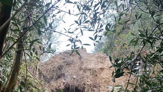 Κατάκολο: Ανατίναξη βράχου 40 τ. που απειλεί κατοικίες και καταστήματα ΦΩΤΟ