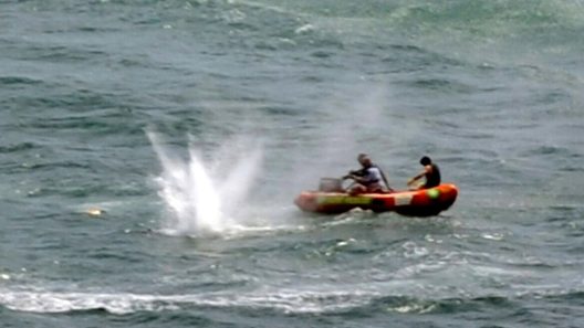 Βραζιλία: 13χρονος πήγε στα κρυφά για κολύμπι, τον κατασπάραξε καρχαρίας ΒΙΝΤΕΟ