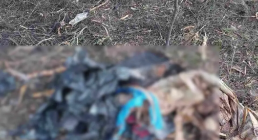 Χαλκιδική: Νέα μακάβρια ανακάλυψη οστών σε παραλία