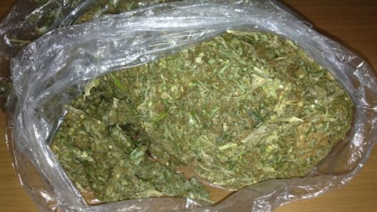 Αγρίνιο: Βρέθηκε και κατασχέθηκε ποσότητα κάνναβης