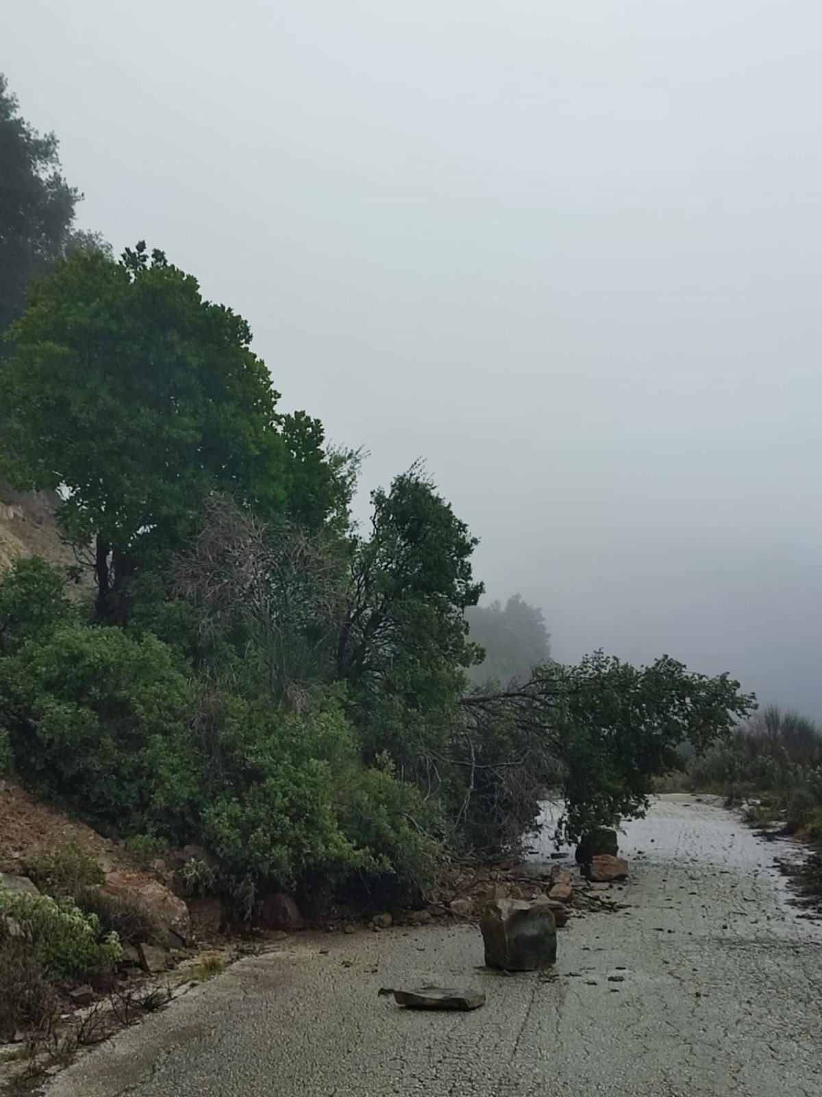 Δήμος Ερυμάνθου: Τεράστιες οι ζημιές από την κακοκαιρία ΦΩΤΟ