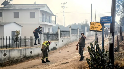 Αχαΐα: Κονδύλι 1 εκατ. ευρώ στους Δήμους για Πυροπροστασία - Η απόφαση του Υπουργείου Εσωτερικών