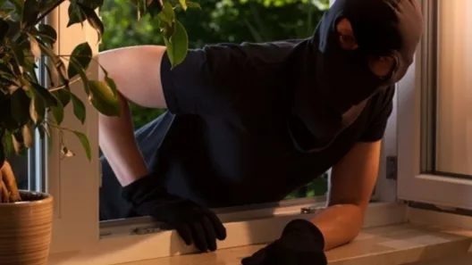 Αμαλιάδα: Συνελήφθησαν κουκουλοφόροι για ληστεία, κλοπές, εμπρησμό - Ερευνες της ΕΛΑΣ