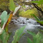 Αχαΐα: Η μεγαλύτερη διεκδίκηση χρημάτων που έγινε ποτέ για τον Αγροτικό Τομέα