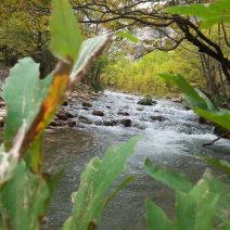 Αχαΐα: Η μεγαλύτερη διεκδίκηση χρημάτων που έγινε ποτέ για τον Αγροτικό Τομέα