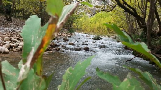 Αχαΐα: Η μεγαλύτερη διεκδίκηση χρημάτων που έγινε ποτέ για τον Αγροτικό Τομέα - Ποιες περιοχές της Δυτικής Ελλάδας αφορά