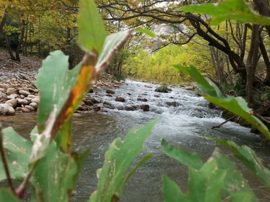 Αχαΐα: Η μεγαλύτερη διεκδίκηση χρημάτων που έγινε ποτέ για τον Αγροτικό Τομέα - Ποιες περιοχές της Δυτικής Ελλάδας αφορά