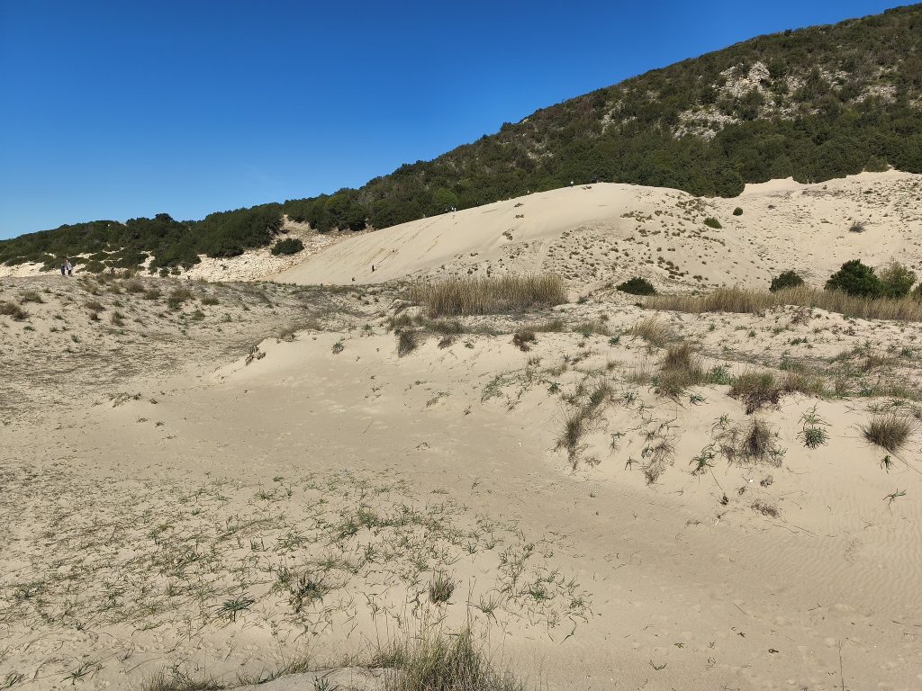 Αχαΐα: Μηνυτήρια αναφορά στην Εισαγγελία Πατρών, από ΟΙΚΙΠΑ, για την Καλογριά ΦΩΤΟ