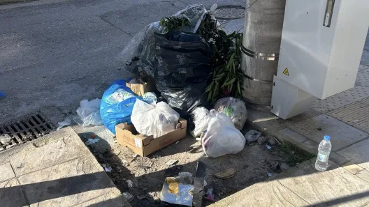 Πάτρα: Μετακινούν κάδους σκουπιδιών...on camera ΦΩΤΟ